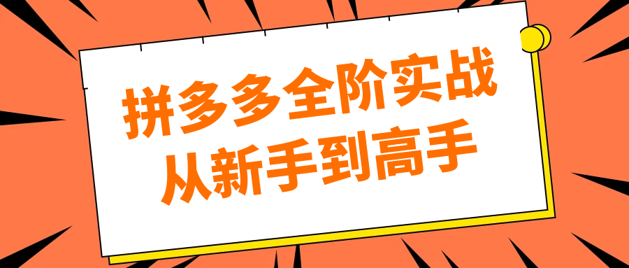 拼多多全阶实战从新手到高手-副业宝典