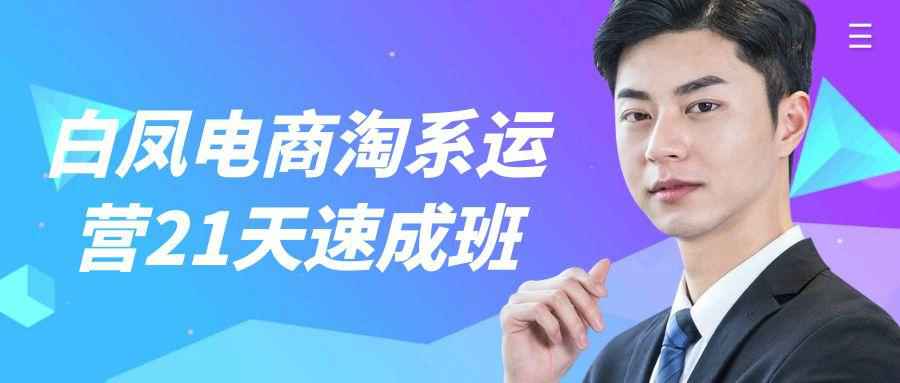 白凤电商淘系运营21天速成班-副业宝典