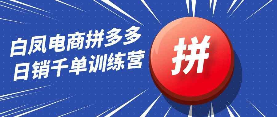 白凤电商拼多多日销千单训练营-副业宝典
