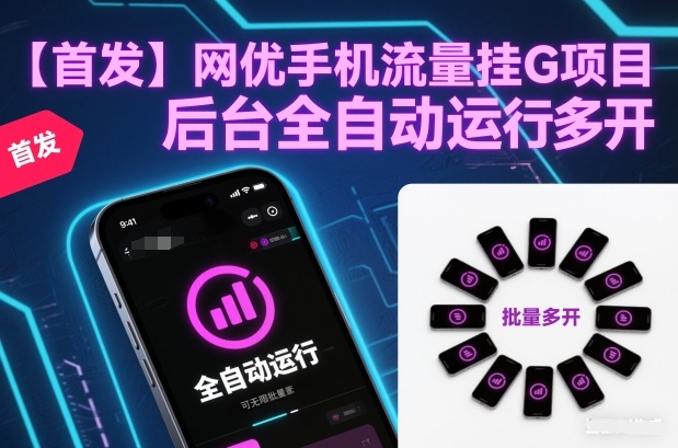 【首发】网优手机流量挂G项目，后台全自动运行，可无限批量多开【揭秘】-副业宝典