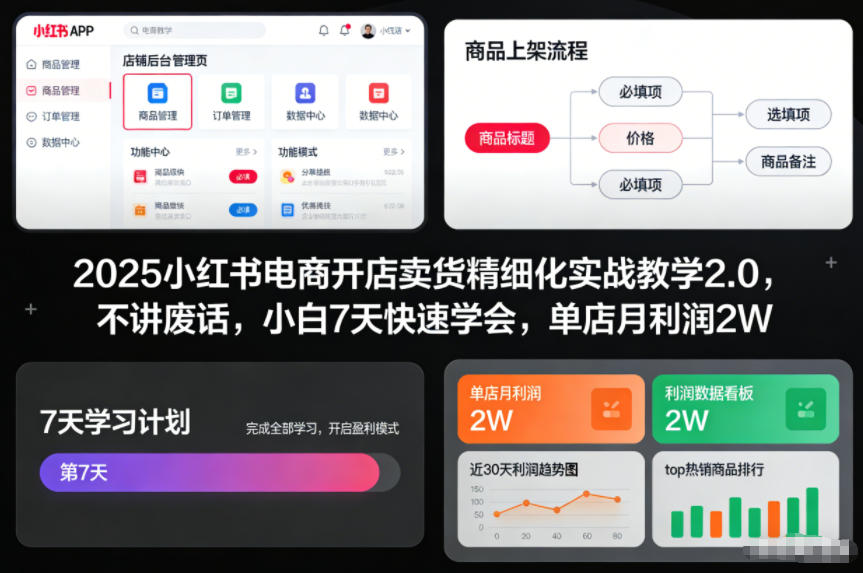 2025小红书电商开店卖货精细化实战教学2.0，不讲废话，小白7天快速学会，单店月利润2W-副业宝典