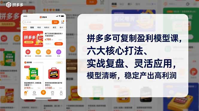 拼多多可复制盈利模型课，六大核心打法、实战复盘、灵活应用，模型清晰，稳定产出高利润-副业宝典