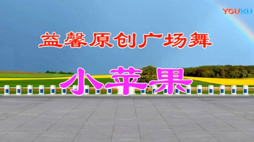 广场舞视频教学500首-副业宝典