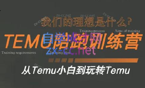 苗苗·拼多多跨境（temu）课程-副业宝典