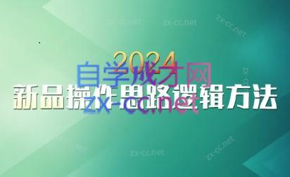 云创·2024新品操作思路逻辑方法-副业宝典