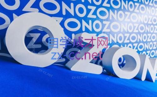 森哥·出海俄罗斯电商实操(2024)-副业宝典
