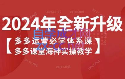 海神老师·拼多多运营必学体系课-副业宝典