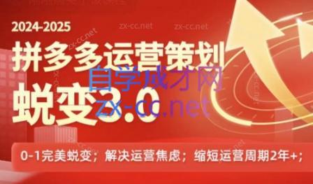 大力老师·2024拼多多运营策略蜕变3.0-副业宝典