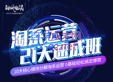 淘系运营21天速成班(更新24年5月)-副业宝典