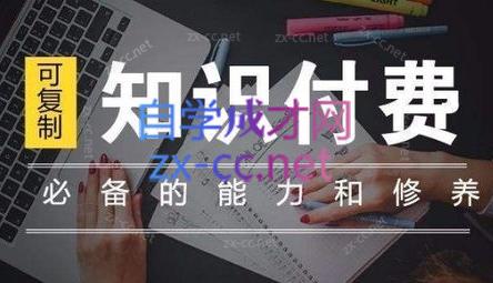 君哥·IP合伙人知识付费虚拟项目(更新24年6月)-副业宝典