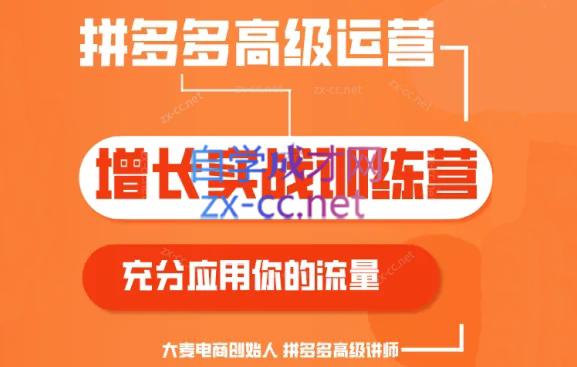 大麦老师·拼多多单品爆款打造课程(更新6月)-副业宝典