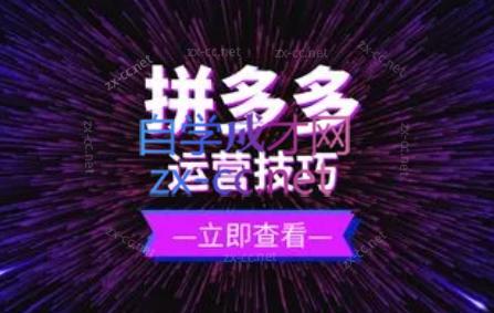 力辛电商·拼多多强付费店群玩法-副业宝典