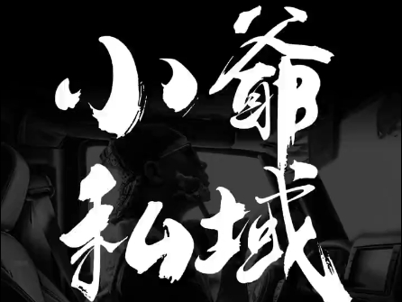 小爷·私域项目操盘手-副业宝典