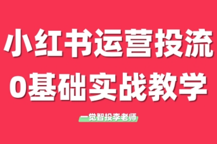 李老师·小红书运营投流，0基础实战教学(更新)-副业宝典