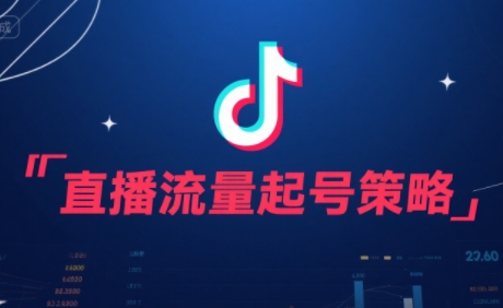 尼采老师·直播流量起号实战课-副业宝典