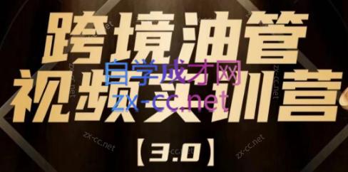 阿蔺Leo·跨境油管视频YouTube实训营(更新2025)-副业宝典