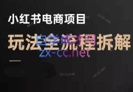 菲菲老师·小红书电商玩法(更新7月)-副业宝典