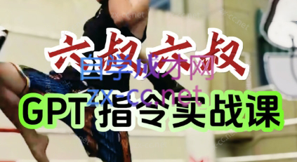 六叔的AI指令实战课(更新7月)-副业宝典