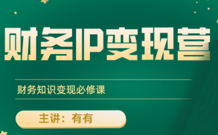 有有老师·财务IP变现营，财务知识变现必修课-副业宝典