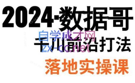 数据哥·2024年千川前沿打法落地实操课-副业宝典