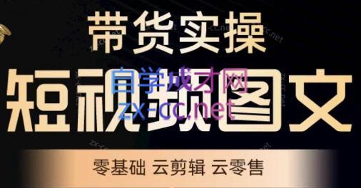 鑫哥·2024零基础短视频带货实操营-副业宝典