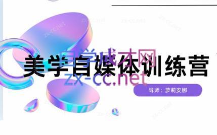 安娜·美学自媒体IP系统课-副业宝典