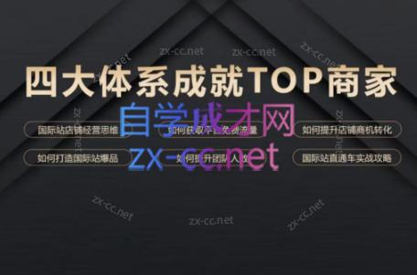 华曜·阿里巴巴国际站认知及直通车实操课程-副业宝典