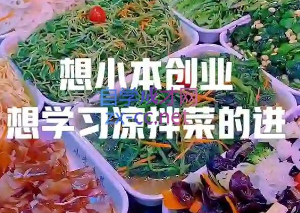 李记·精品凉拌菜系列热卤系列教程-副业宝典