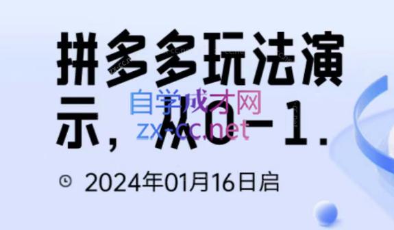 吴老师·拼多多从选品到截流到付费的玩法技巧-副业宝典