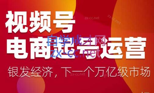陈大黑牛·视频号电商起号运营课(更新到24年5月)-副业宝典