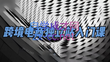 团长·跨境电商独立站入门课(2小时精华)-副业宝典