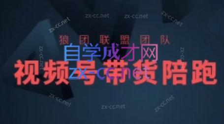 狼团联盟·2024视频号带货-副业宝典