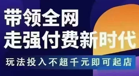 王校长·万金油强付费玩法(更新3.16杭州线下)-副业宝典