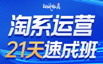 白凤电商·淘系运营21天速成班(更新3月)-副业宝典
