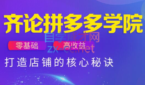 齐论拼多多vip课程-副业宝典