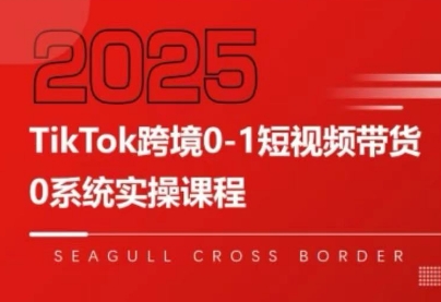 大亿老师·TikTok跨境0-1短视频带货-副业宝典