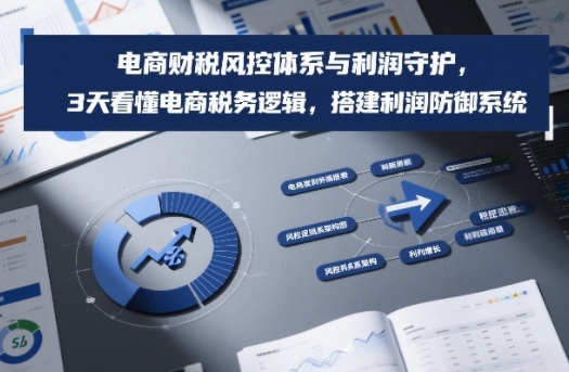 电商财税风控体系与利润守护，3天看懂电商税务逻辑，搭建利润防御系统-副业宝典