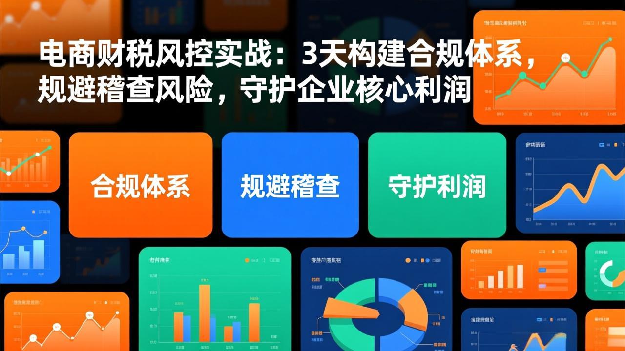 电商财税风控实战：3天构建合规体系，规避稽查风险，守护企业核心利润-副业宝典