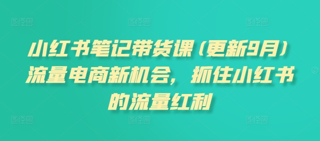 小红书笔记带货课，流量电商新机会，抓住小红书的流量红利(更新26年2月)-副业宝典