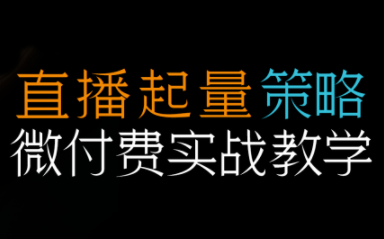 半野老师·直播带货起量与微付费必学课视频号(更新2026)-副业宝典