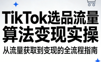 TikTok选品流量算法变现实操-副业宝典
