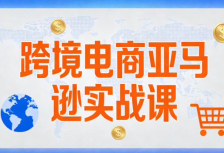 丝丝老师·跨境电商亚马逊实战课(更新2月)-副业宝典