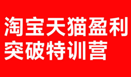 玺承·淘宝天猫盈利突破特训营(25年12月线下课)【音频+字幕】-副业宝典