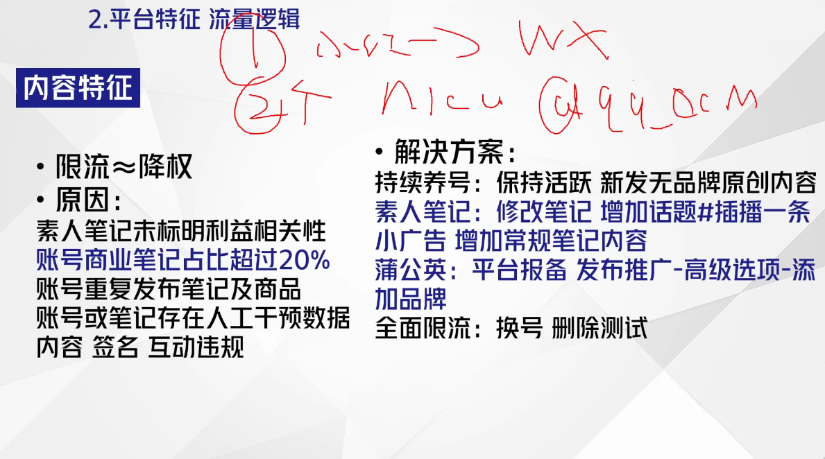 尼采老师·小红书爆单系列课-副业宝典