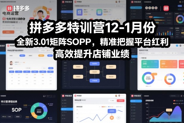 拼多多特训营12-1月份，全新3.01矩阵Sop，精准把握平台红利，高效提升店铺业绩-副业宝典
