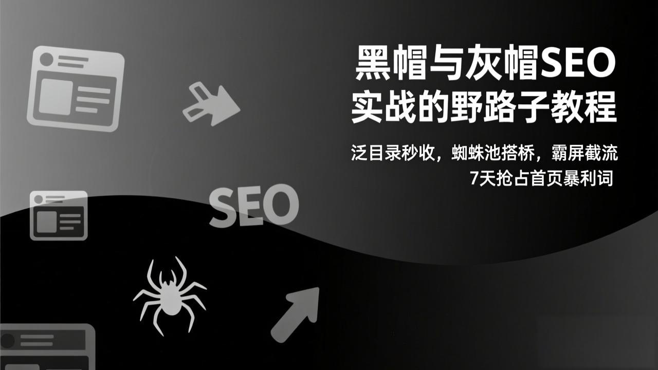 黑帽与灰帽SEO实战的野路子教程：泛目录秒收，蜘蛛池搭桥，霸屏截流，7天抢占首页暴利词-副业宝典