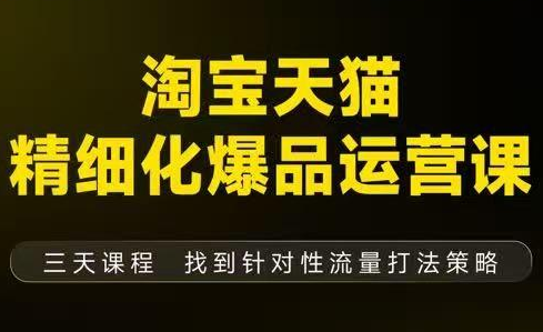 猫课子幽·淘宝天猫精细化爆品运营【音频+字幕+文档】(9月12-14杭州线下课)-副业宝典