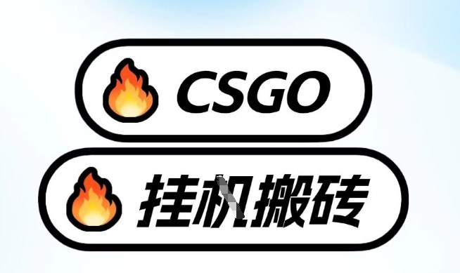 真全网独家CSGO挂G，最新玩法,单日捡漏1K+，不用电脑，不用打游戏【揭秘】-副业宝典